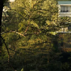 Falcon Crest Semesteranläggning (resort)